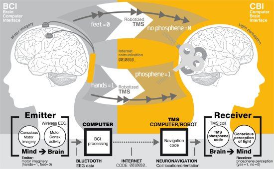 Comunicação binária cérebro a cérebro feita pela internet