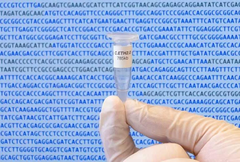 Primeiro DNA artificial