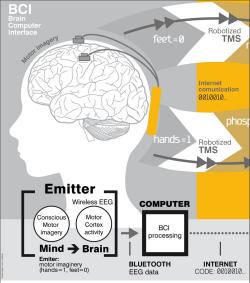Interface crebro humano/nuvem pode viabilizar internet dos pensamentos