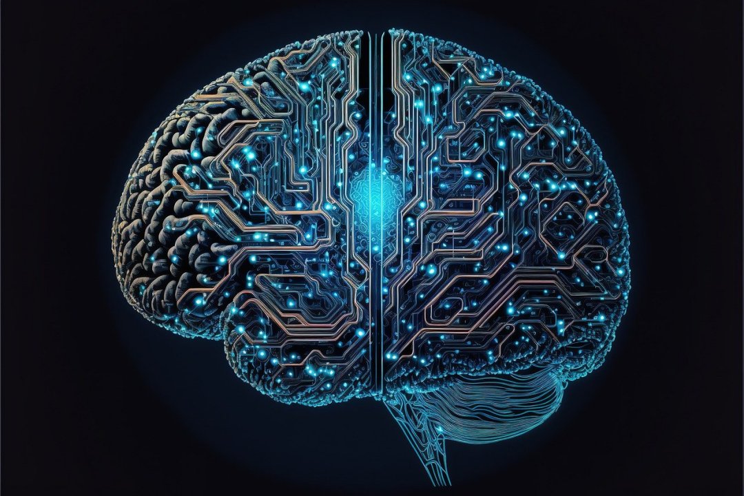 IA ganha eficincia quando imita restries fsicas do crebro