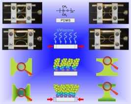 Equipamento simples produz material para nanotecnologia