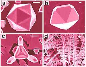 Eletricidade determina formato exato de cristais para Nanotecnologia