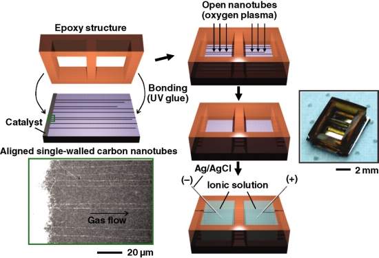 Membrana de nanotubos de carbono dessaliniza água do mar