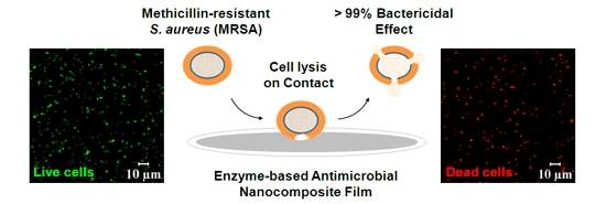 Criada tinta capaz de matar superbactrias MRSA