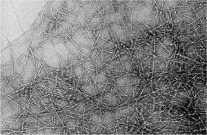 Bioplásticos de fibras vegetais se equiparam à fibra de carbono