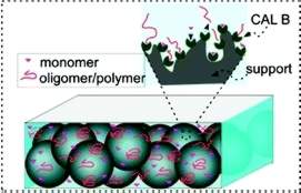 Microrreator: Química super fina gera polímero biodegradável em processo contínuo