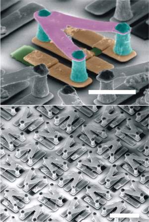 Meta-tomos transformam homem em criador de metamatria