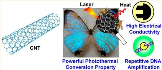 Asas de borboleta convertem luz em calor e reproduzem DNA