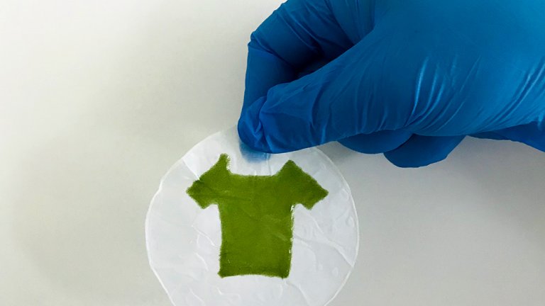 Materiais vivos so feitos com algas e celulose