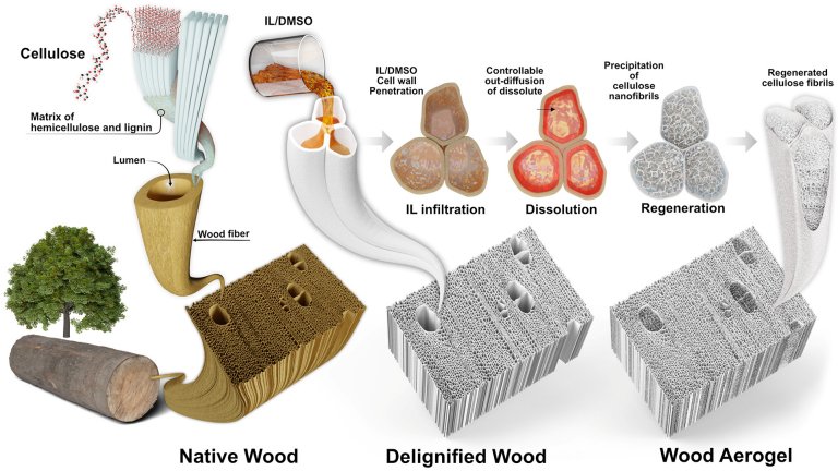 Isolante trmico de madeira supera materiais  base de petrleo