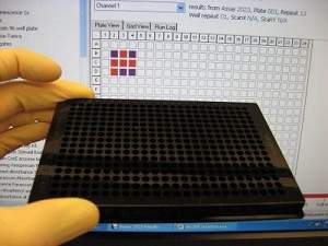 Criado computador que utiliza DNA ao invs de transistores