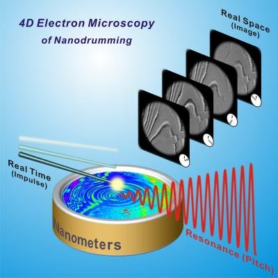Microscpio 4-D revoluciona a forma como vemos o mundo nano