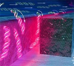 Raio trator nanotecnolgico aprisiona molculas de DNA