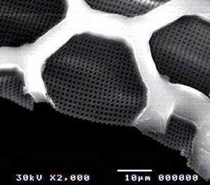 Unicamp desenvolve nanopeneiras de polímeros para uso biomédico