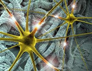 Eletrodos plsticos tornam chips neurais compatveis com crebro