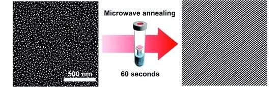 Chip do futuro  assado em forno de micro-ondas