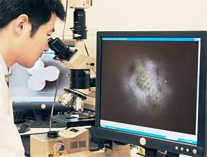 Nanoscópio: Microscópio óptico enxerga vírus pela primeira vez