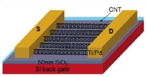 Sinapse sinttica  criada com nanotubos de carbono