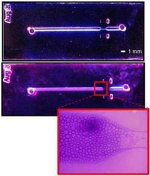 Biochip impresso simplifica processo de anlise gentica