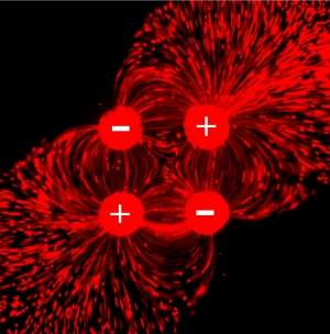 Quadrupolo fluídico cria novo paradigma no estudo de células vivas