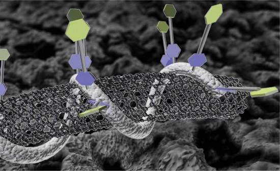 Nanotecnologia une nanotubos e DNA em biossensores de precisão