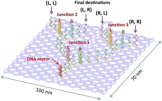 010165120123-nanotrem.jpg