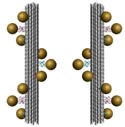 Cientistas manipulam a luz de forma indita