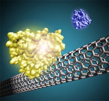 Biossensores de nanotubos triplicam velocidade de exame