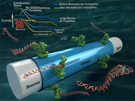 Biossensores usam origami de DNA e tunelamento quântico