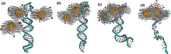 Nanopartculas de ouro destroem molculas de DNA