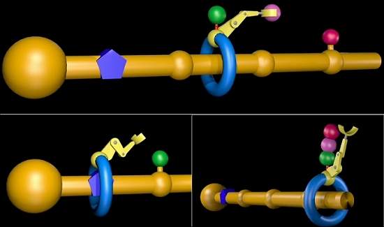 Mquinas moleculares: Molculas que fabricam molculas