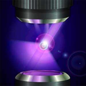 Nanoscpio observa clulas vivas sem corantes ou fluorforos