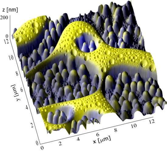 Especial Microscpios: Nanoquimioscpio 3D