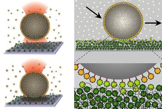 Nanovelcro funciona como correia transportadora para moléculas