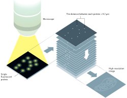 Nobel de Qumica 2014 premia transformao de microscpio em nanoscpio