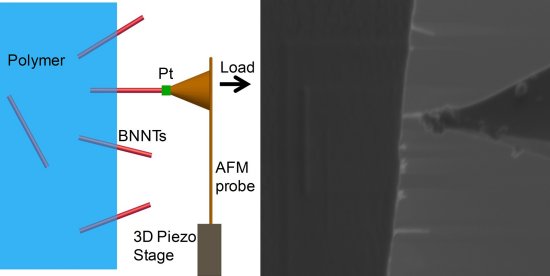 Nanotubos de nitreto de boro