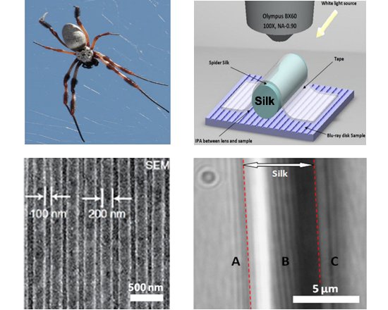 Seda de aranha vira superlente para microscpios