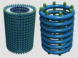 Nanotubos orgnicos covalentes so versteis e fortes