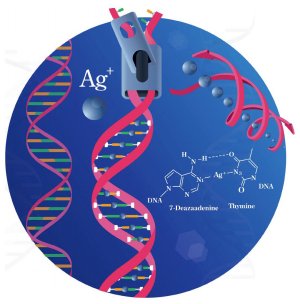 Além da biônica: DNA agora pode ter íons metálicos