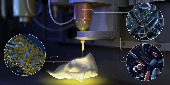 Biofbricas vivas construdas com impresso 3D