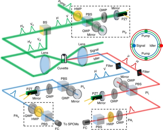 Fisica quantica spin