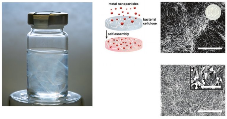 Nanocelulose multiplica poderes das nanopartculas