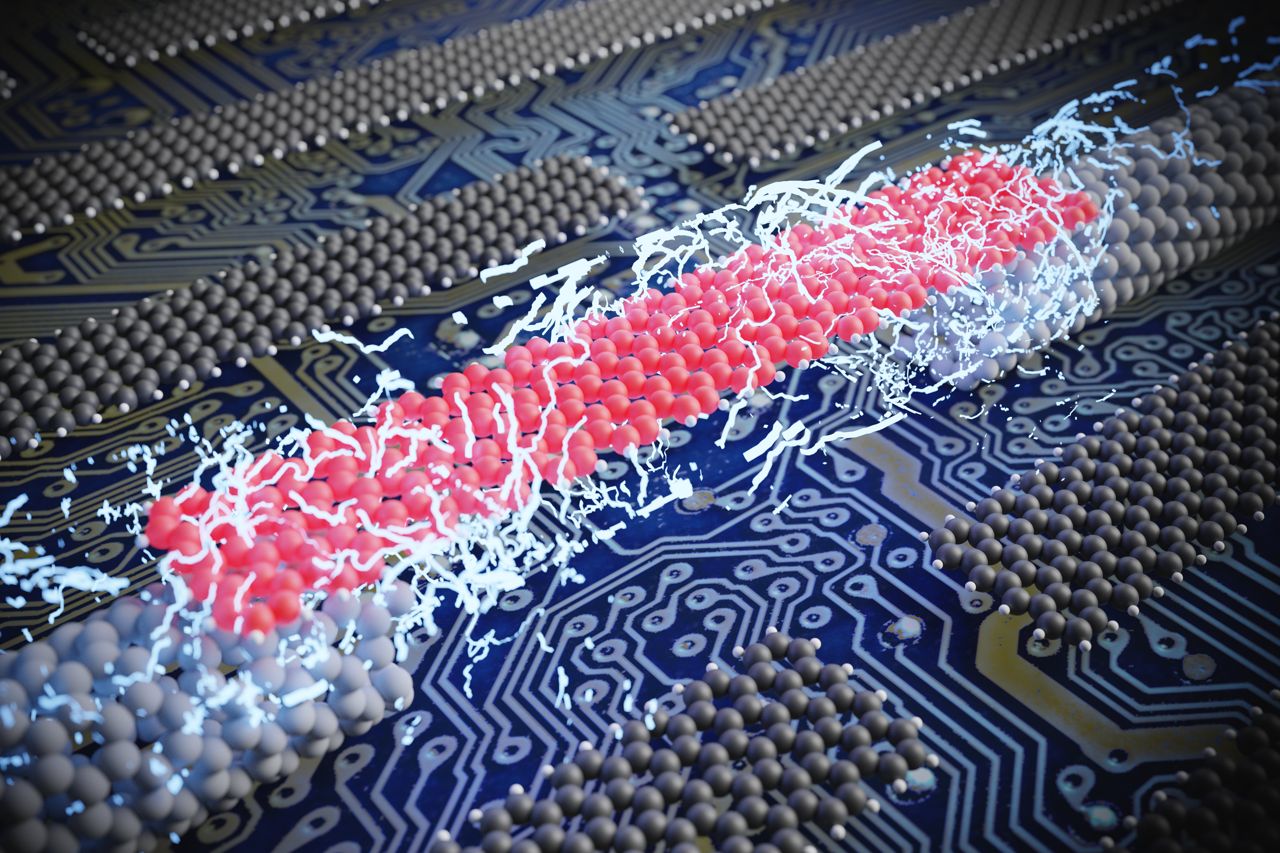 Nanofitas de grafeno so conectadas com eletrodos de nanotubos de carbono