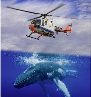 Helicópteros ganham aerodinâmica inspirada em baleias