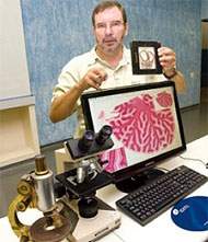 USP vai usar microscpios digitais virtuais em aulas de Biologia