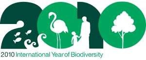 Comea o Ano Internacional da Biodiversidade