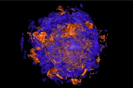 Simulao 3D mostra exploso de supernova