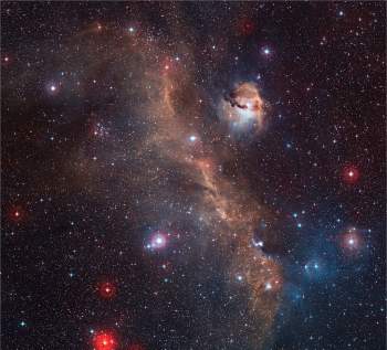 Nebulosa da Gaivota mostra as cores vivas de uma maternidade estelar