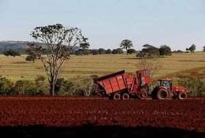 Petrobras est desenvolvendo novo fertilizante agrcola