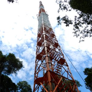Torre Alta de pesquisa ambiental  inaugurada na Amaznia